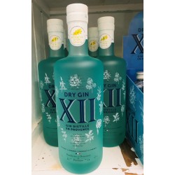GIN XII with 12 plants and spices